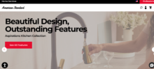 Honest Product Review: American Standard Kitchen & Bathroom Fixtures